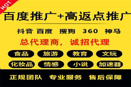 某电商平台信息流竞价策略及成效分析