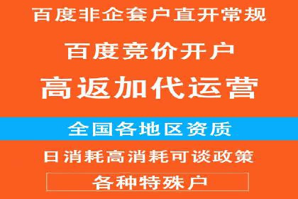 sem代运营公司案例解析：如何制定有效的广告策略